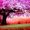 Diamond Painting Paarse Boom