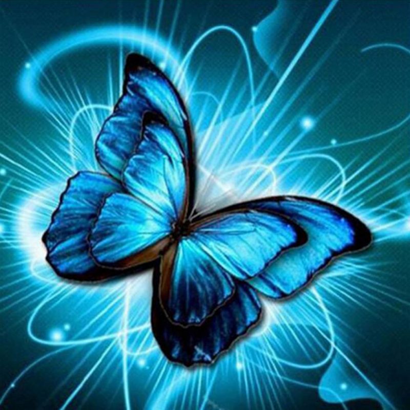 Diamond Painting Kopen in Belgie of Nederland | Poliptix